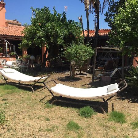 B B Casa Vacanze Il Pino Di Pino 拉斯卡里 外观 照片