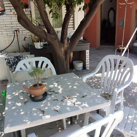B B Casa Vacanze Il Pino Di Pino 拉斯卡里 外观 照片