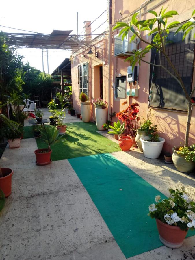 B B Casa Vacanze Il Pino Di Pino 拉斯卡里 外观 照片