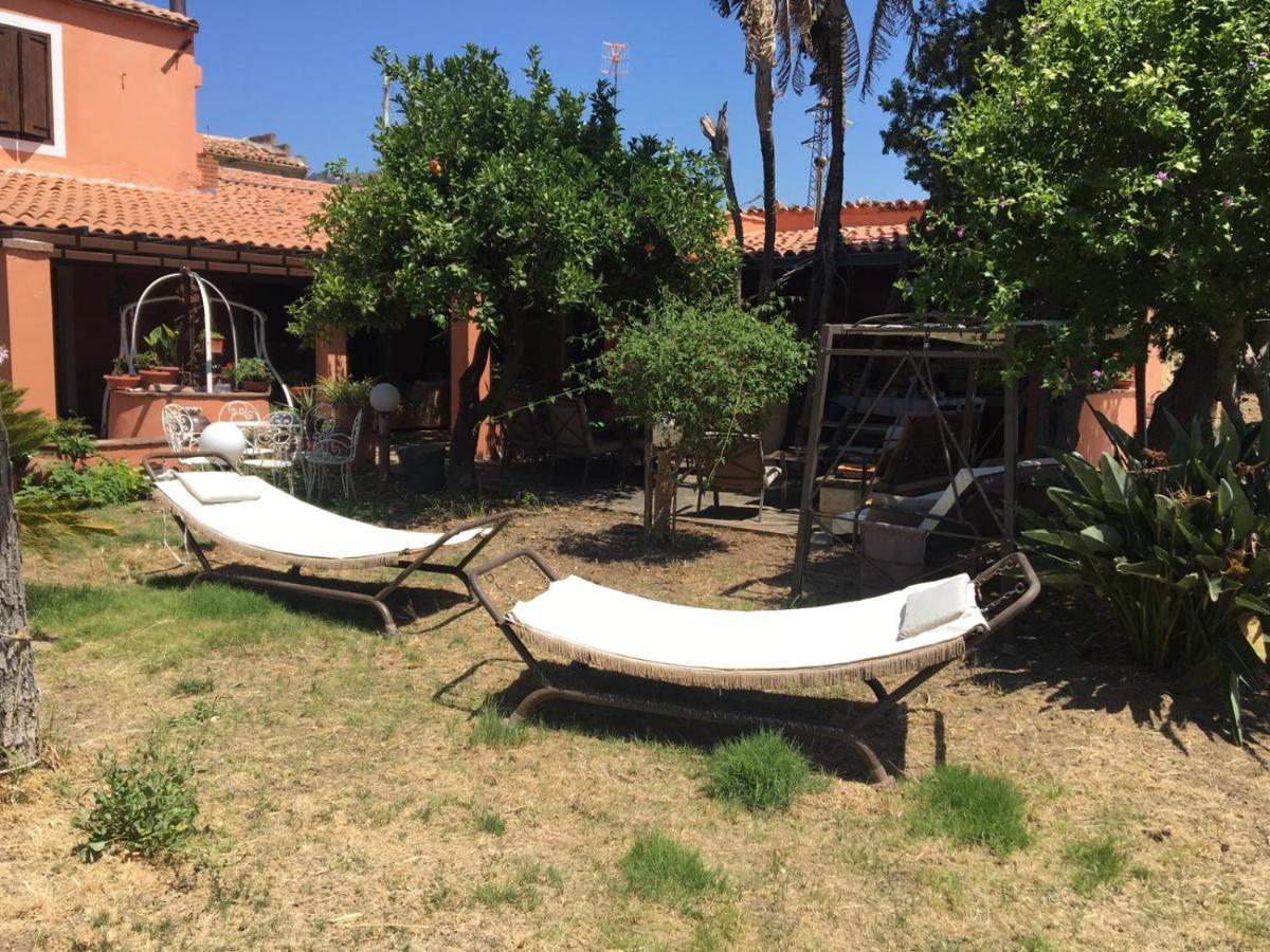 B B Casa Vacanze Il Pino Di Pino 拉斯卡里 外观 照片