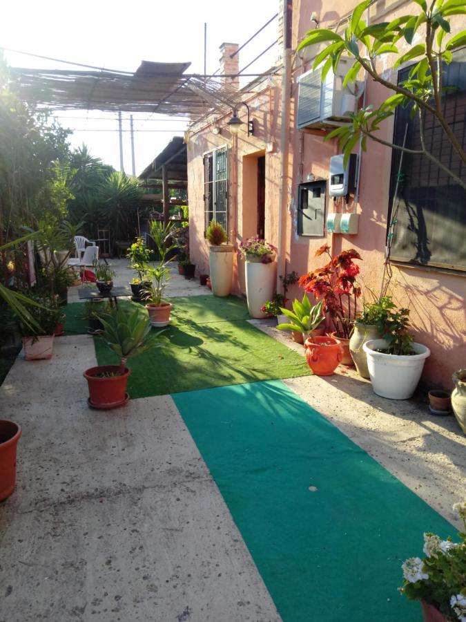 B B Casa Vacanze Il Pino Di Pino 拉斯卡里 外观 照片